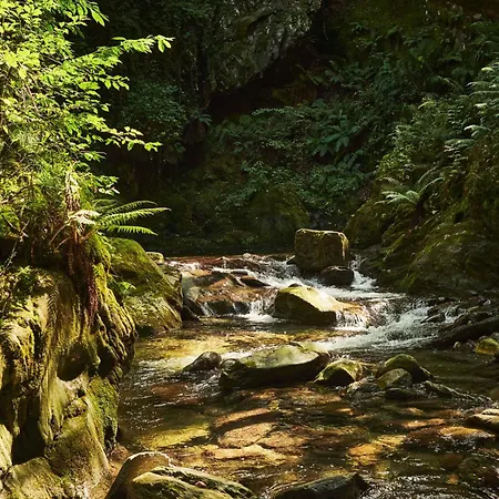 Alojamento de Acomodação e Pequeno-almoço Habitat Maggiore 4*