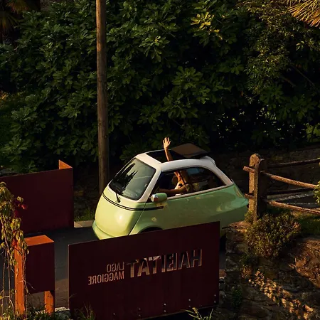 Habitat Maggiore Gambarogno