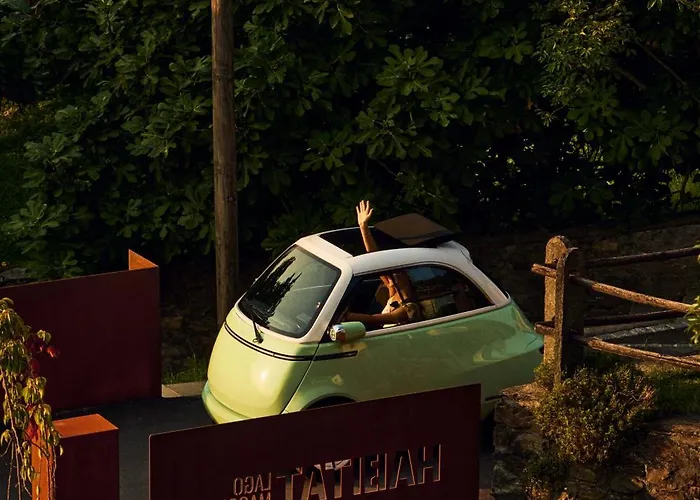 Habitat Maggiore Gambarogno