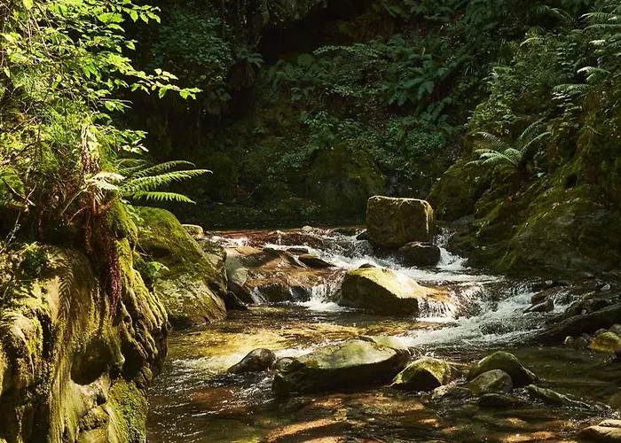 Bed & Breakfast Habitat Maggiore 3*